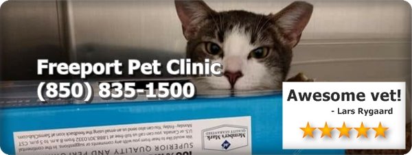 Freeport Pet Clinic